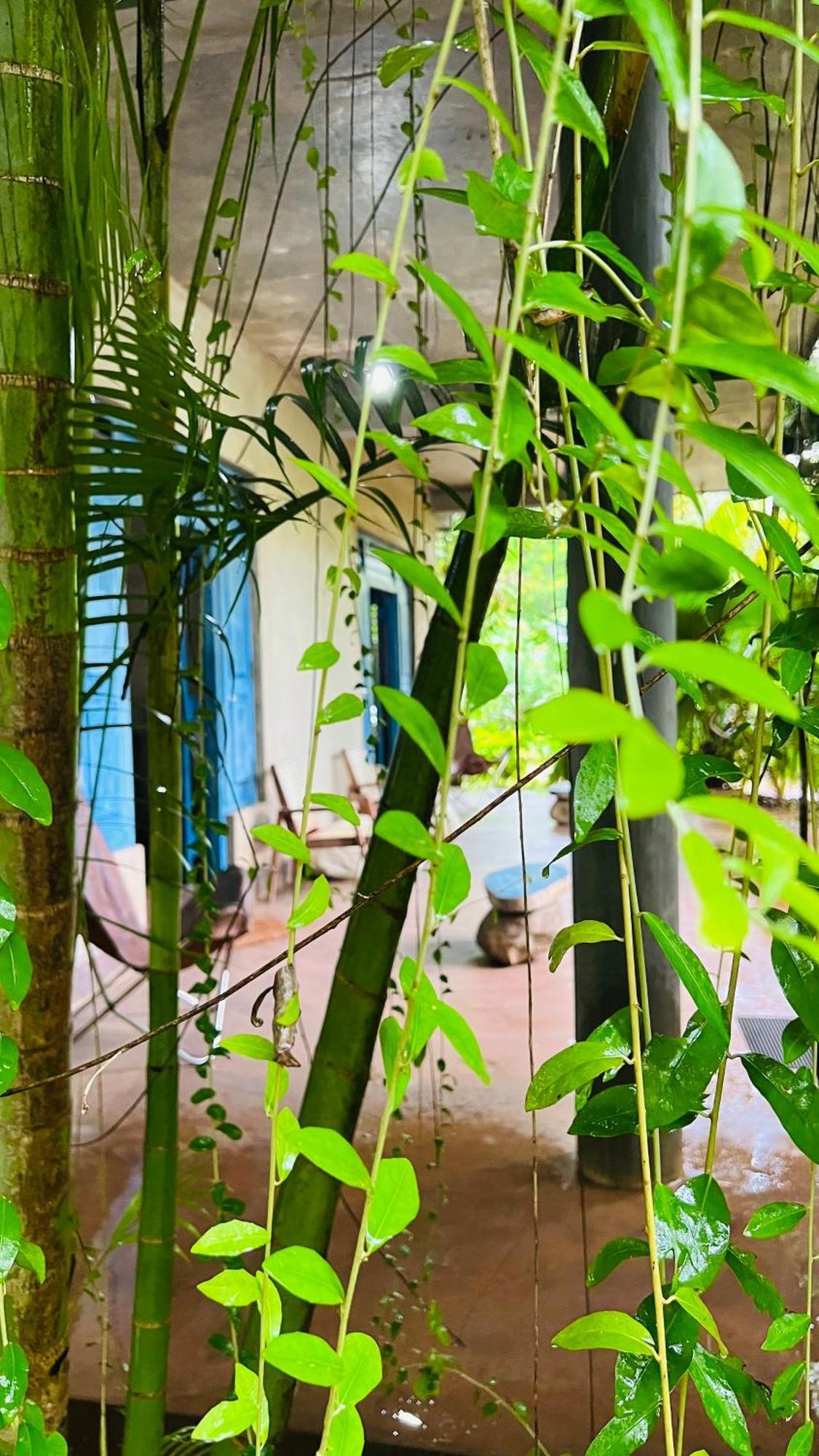 Kataragama Homestay Extérieur photo