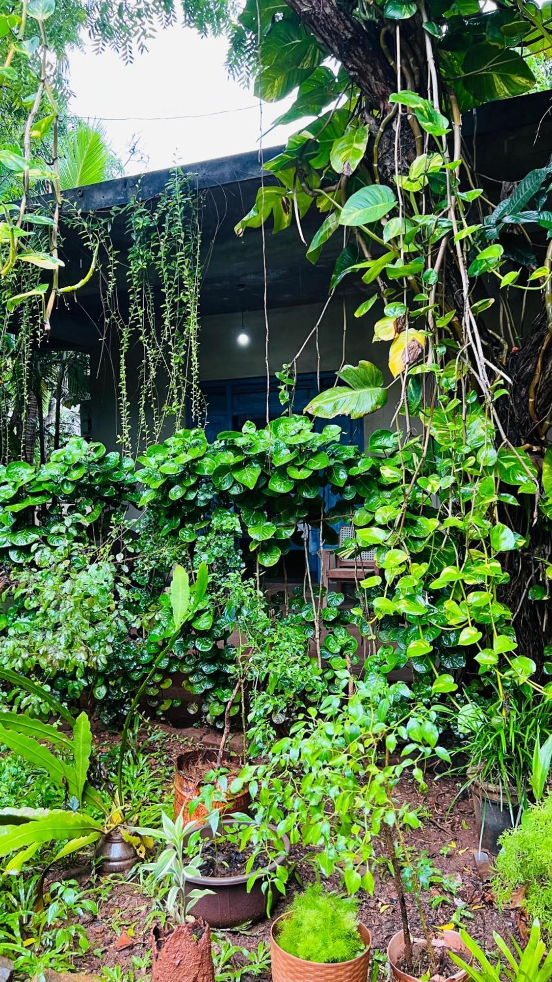 Kataragama Homestay Extérieur photo