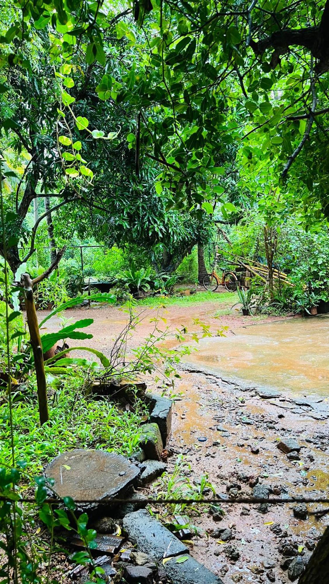 Kataragama Homestay Extérieur photo