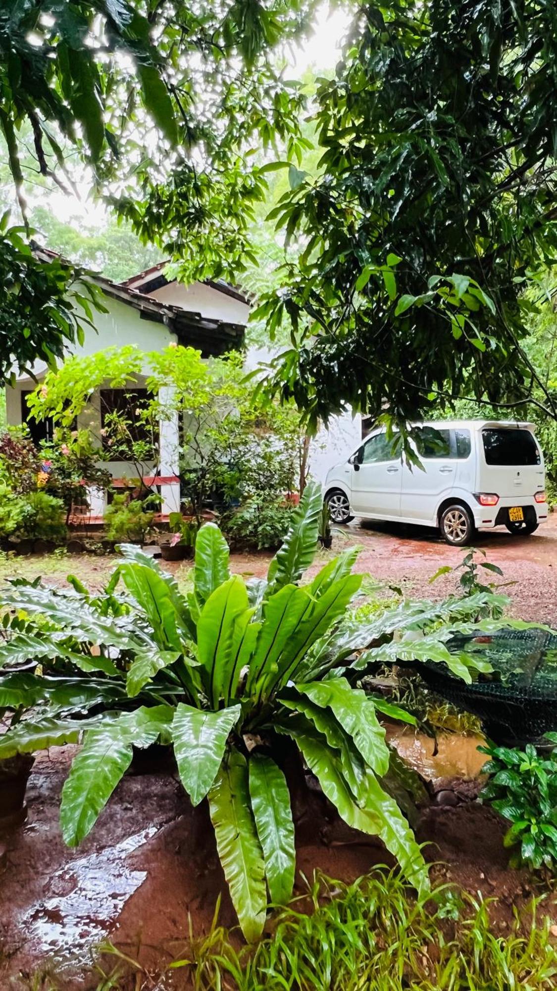 Kataragama Homestay Extérieur photo