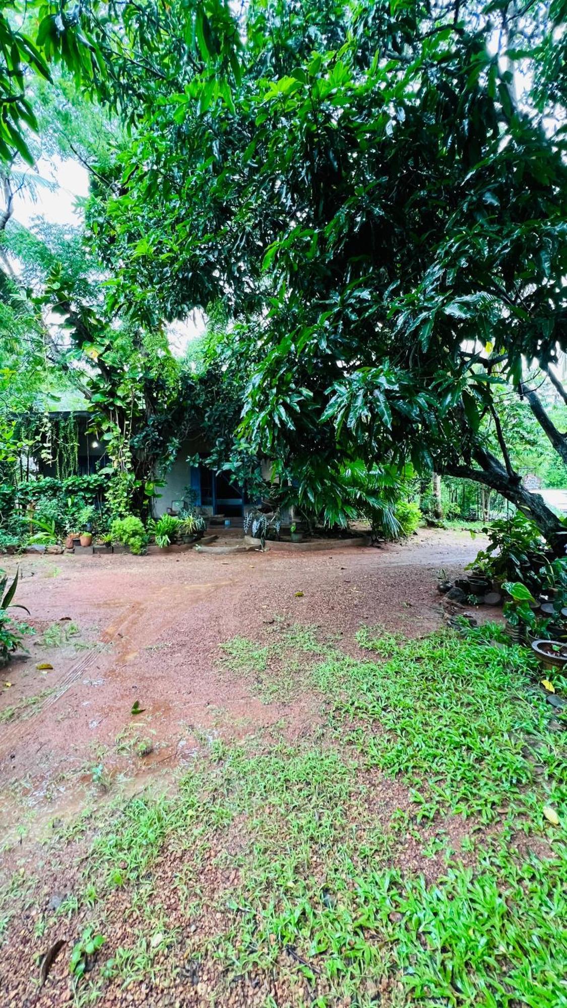 Kataragama Homestay Extérieur photo