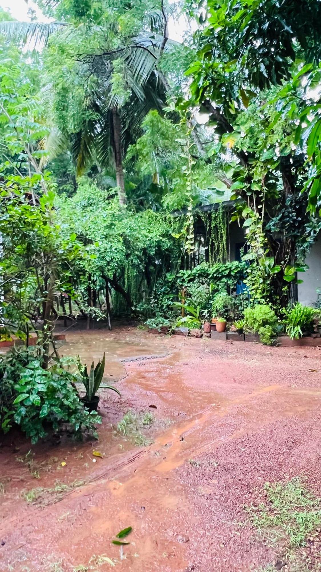 Kataragama Homestay Extérieur photo
