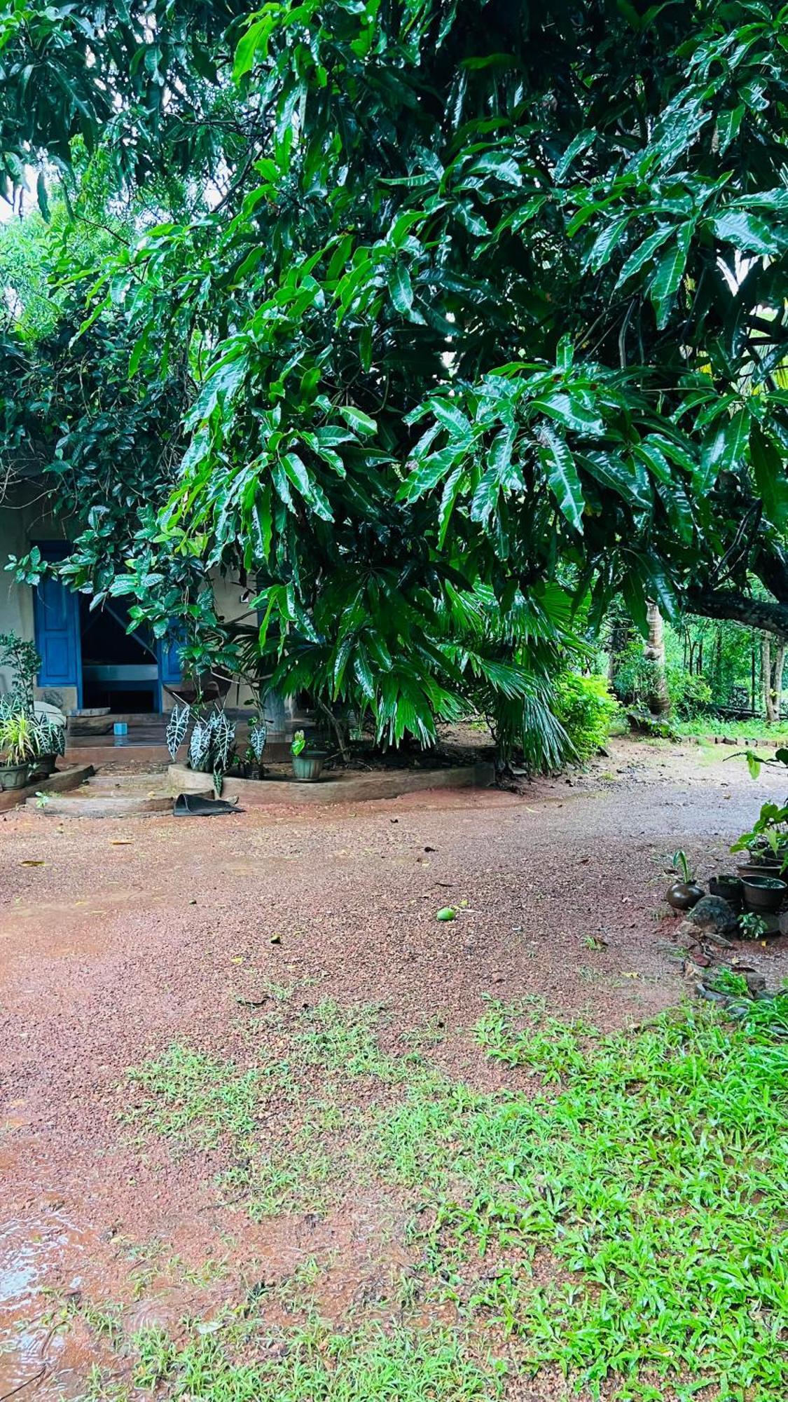 Kataragama Homestay Extérieur photo
