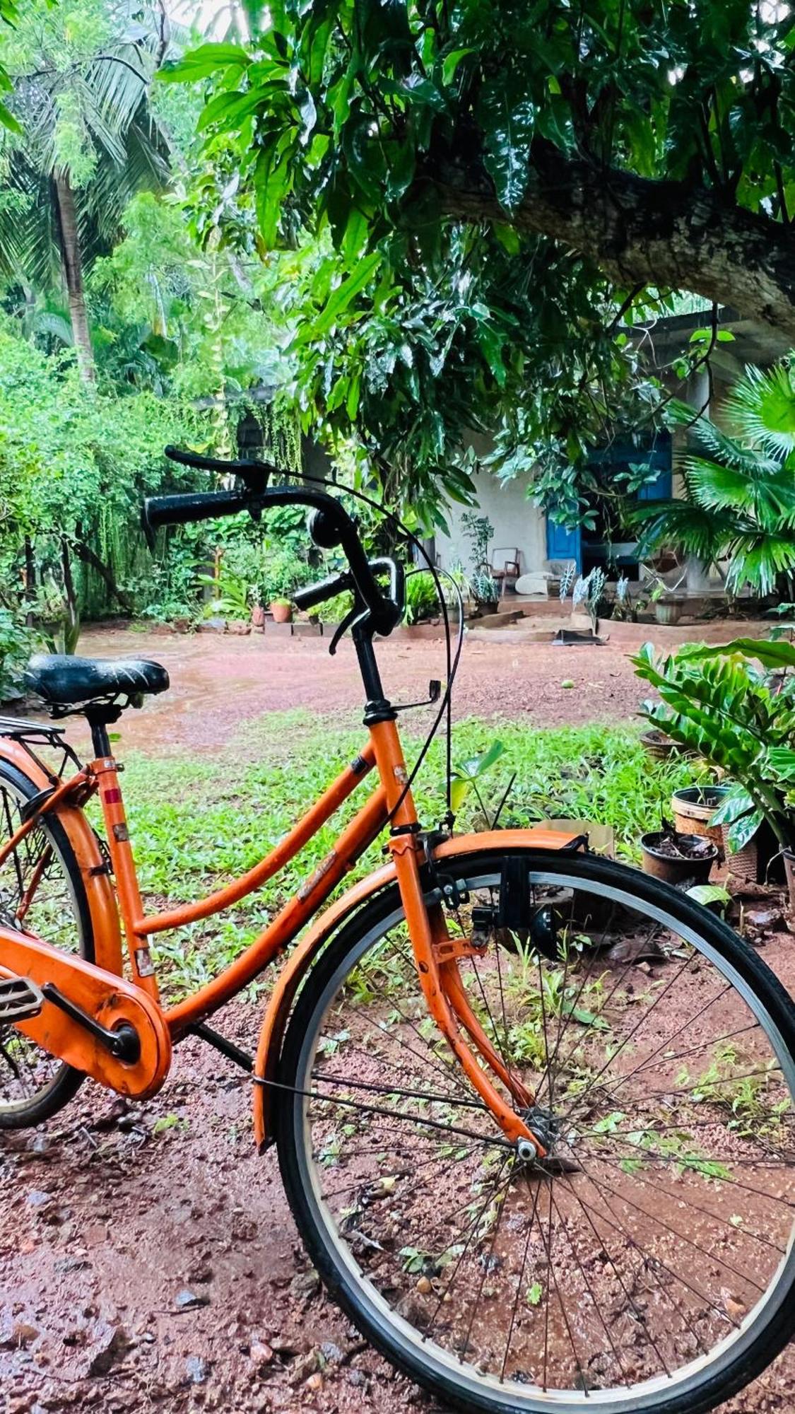 Kataragama Homestay Extérieur photo